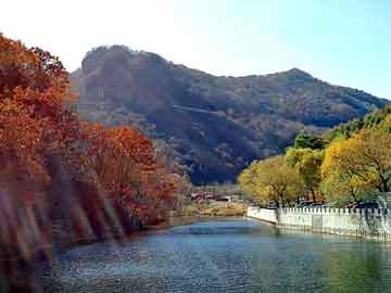 天天彩好彩天天免费，路油清